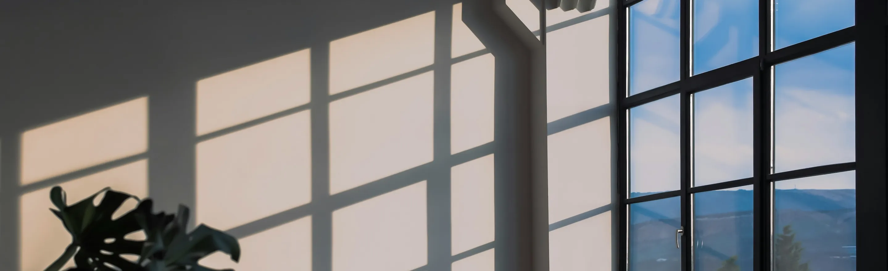 Sunlight streams through large grid-style windows, casting geometric shadows on an interior wall beside a leafy indoor plant. The image conveys a bright, natural atmosphere suited for highlighting NEUNER Insektenschutz window protection in modern spaces