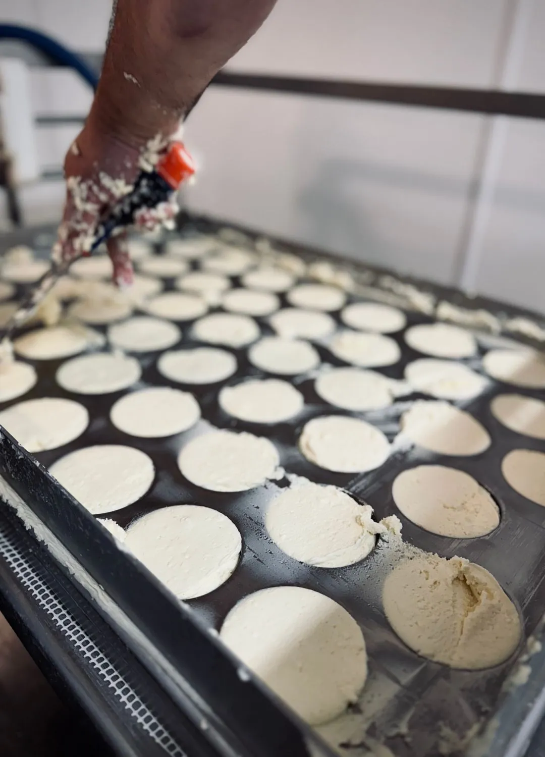 Production de fromages