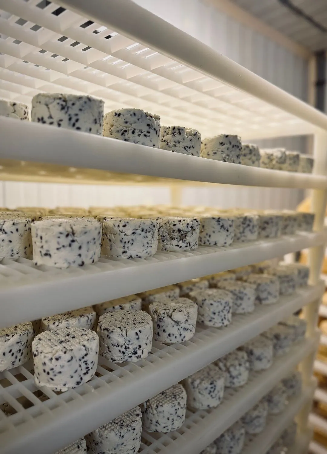 Production de fromages