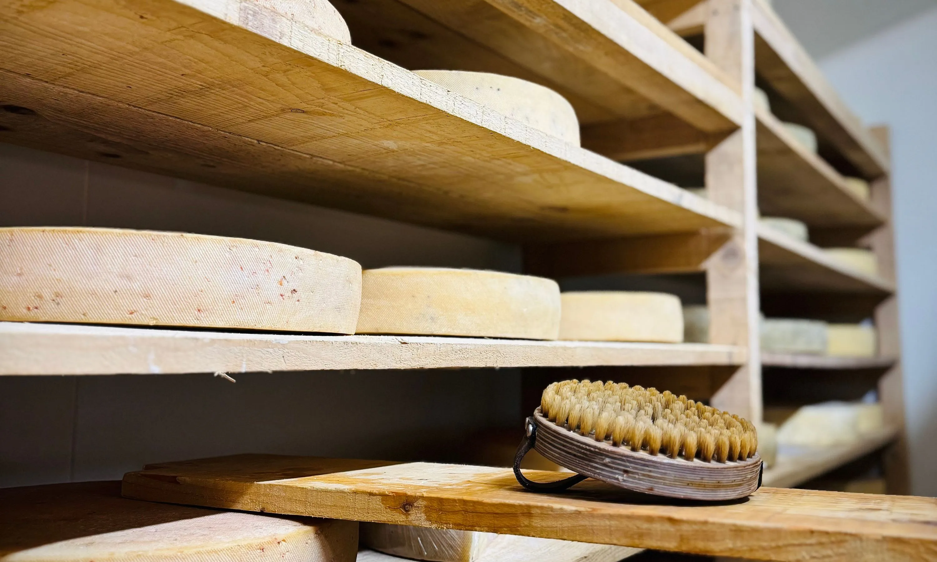 Production de fromages