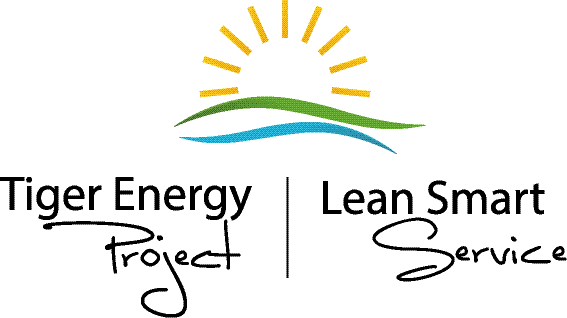 Tiger Energy Project und Lean Smart Service Logo des Kunden der Werbeagentur