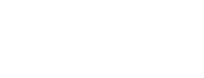Logo des Kunden Tiger Energy Project