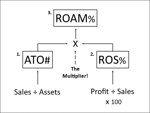 ROAM model