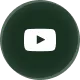 Logo youtube