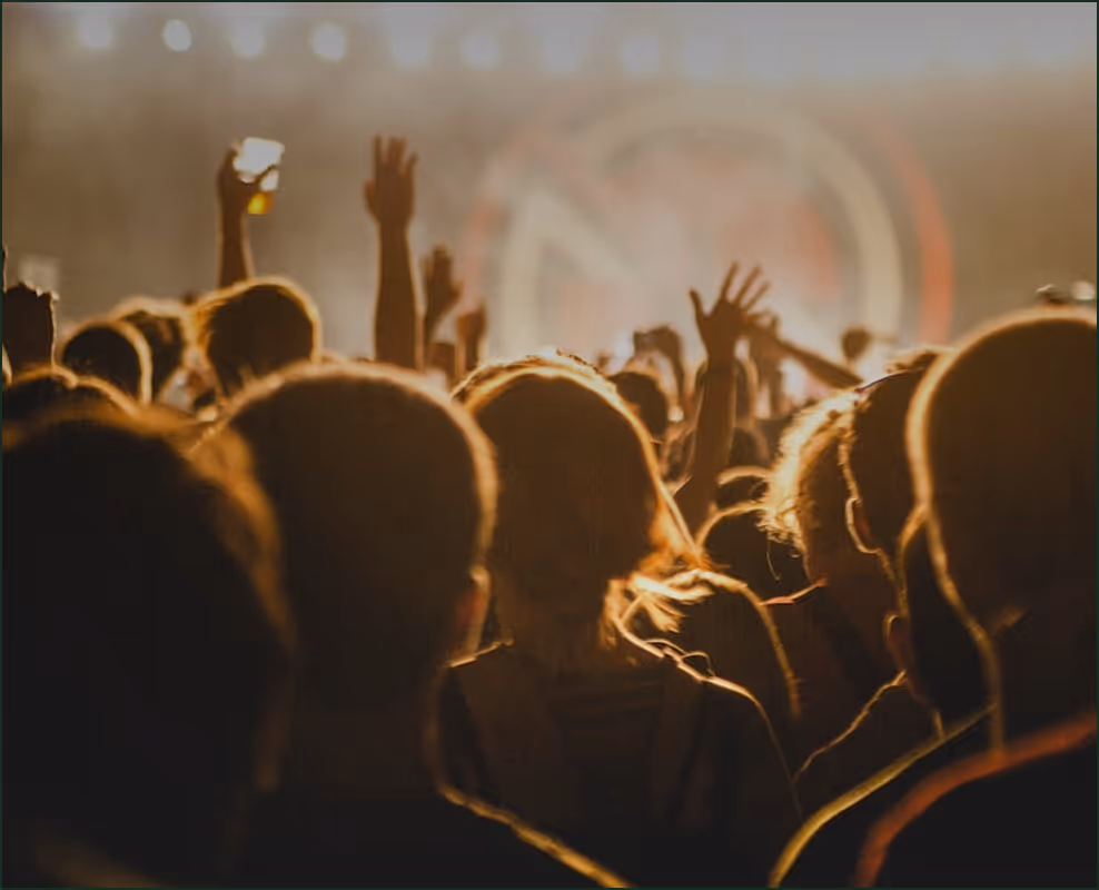 Crowd in a concert