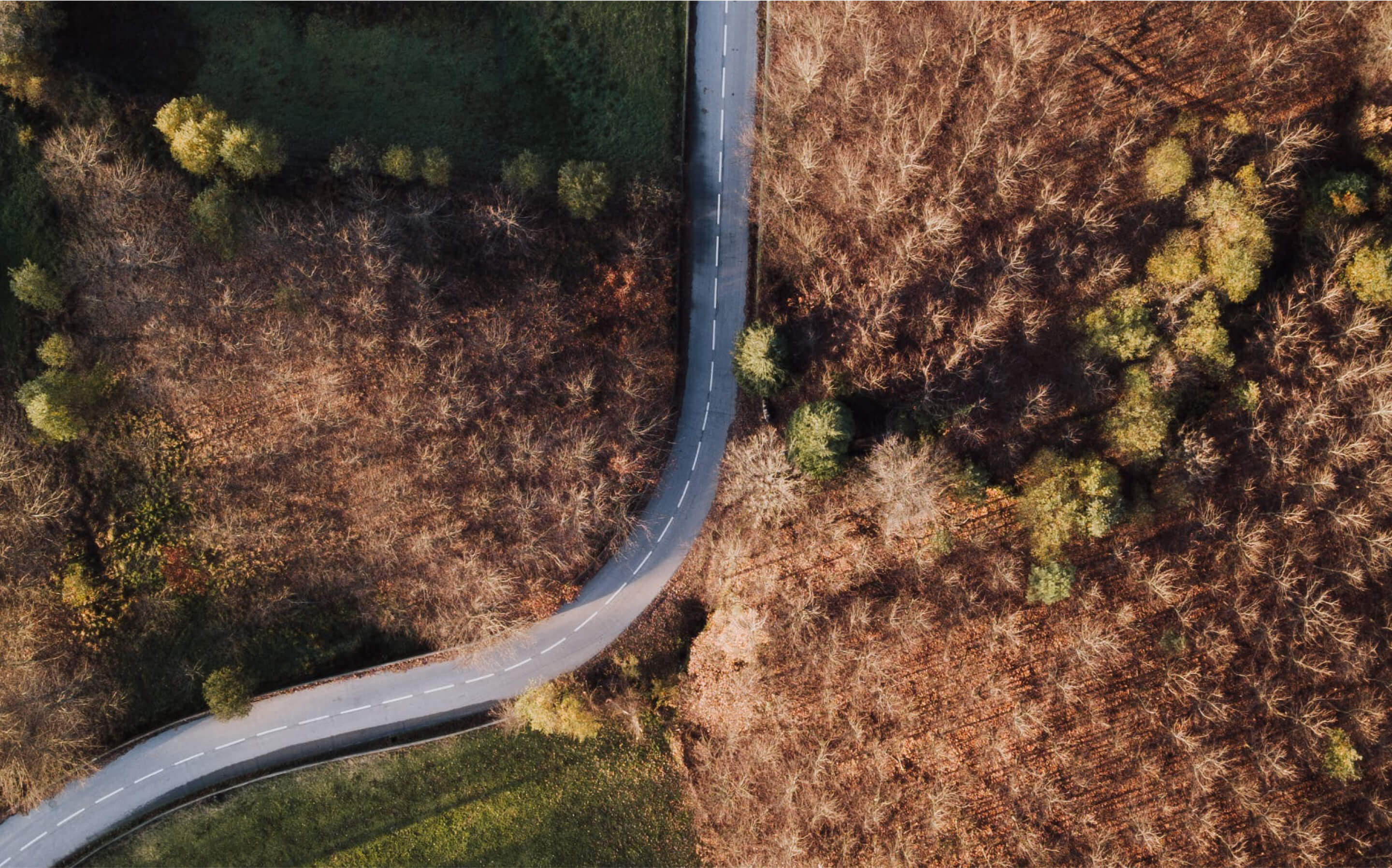 Unlocking Earnings with Webflow: A Guide to Profitable Web Design Projects