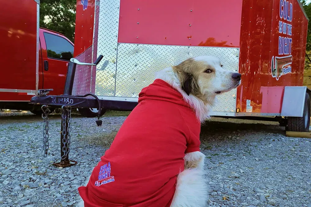 Dog in red Cold is on the Right shirt sitting by red trailer.