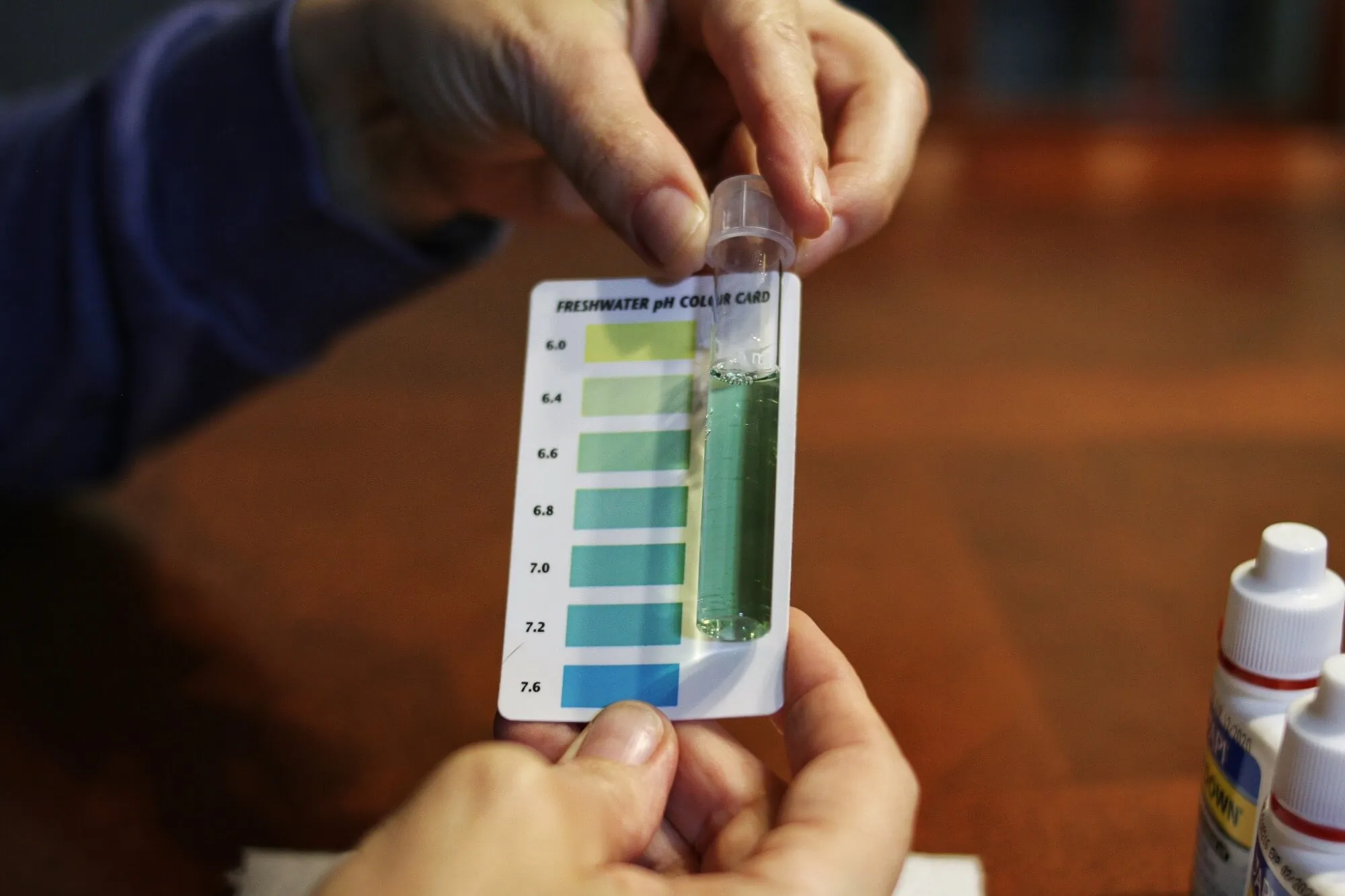 Hands holding a freshwater pH test kit with a color comparison chart on a wooden table.