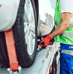 Service Image Small