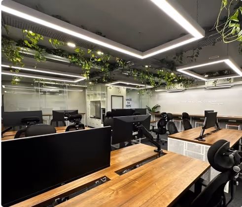 A photo of indian office with wooden desks, computer monitors, and green plants hanging from the ceiling.