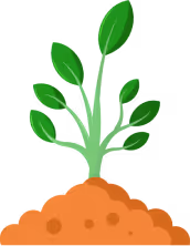 土から複数の葉が生える植物のイラスト。成長とPMF開発を象徴しています。
