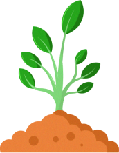 土から複数の葉が生える植物のイラスト。成長とPMF開発を象徴しています。