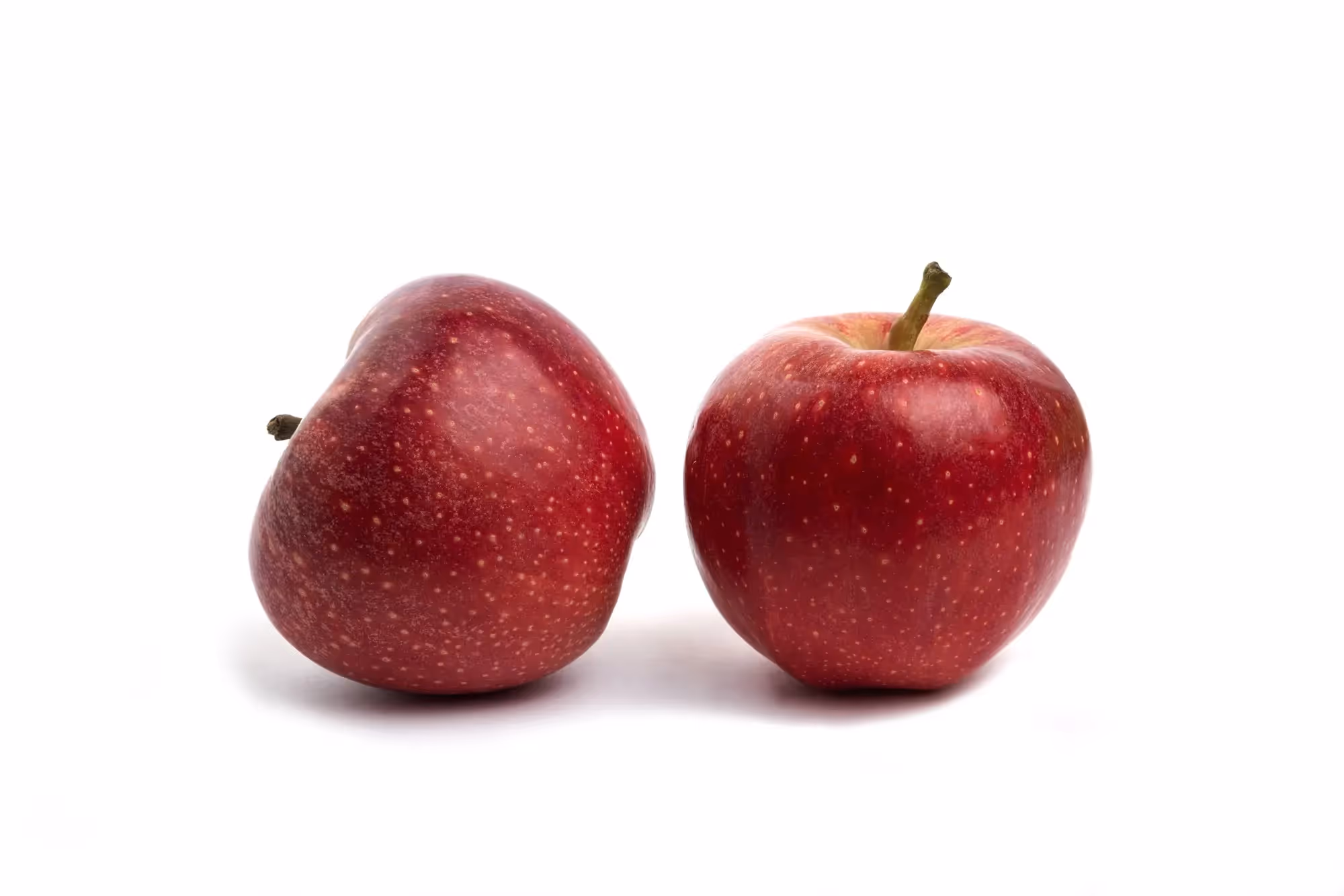 Apple vs. Opple: No clear verdict.