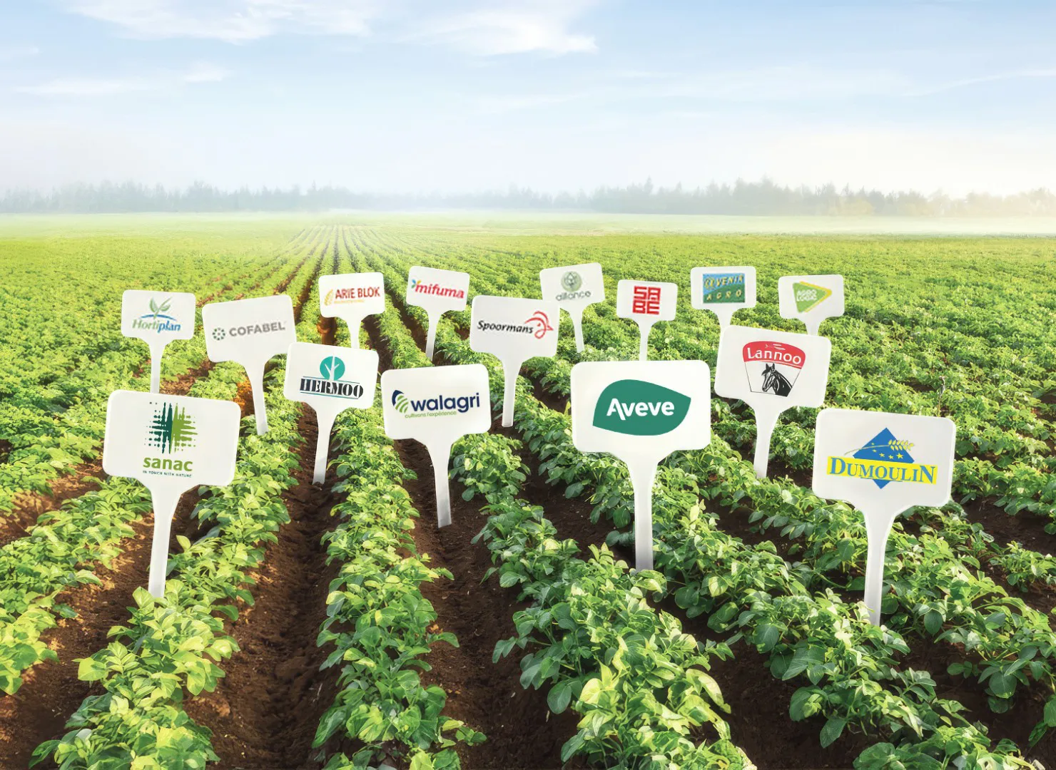 Arvesta – Brand Research & Identity Strategy