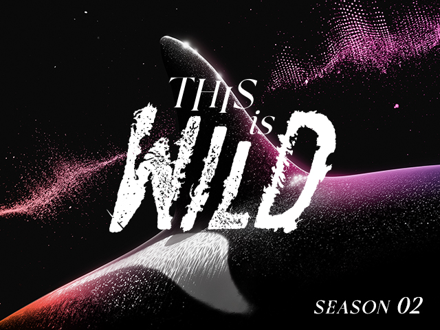 S02 Ep 1 Southern resident killer whales