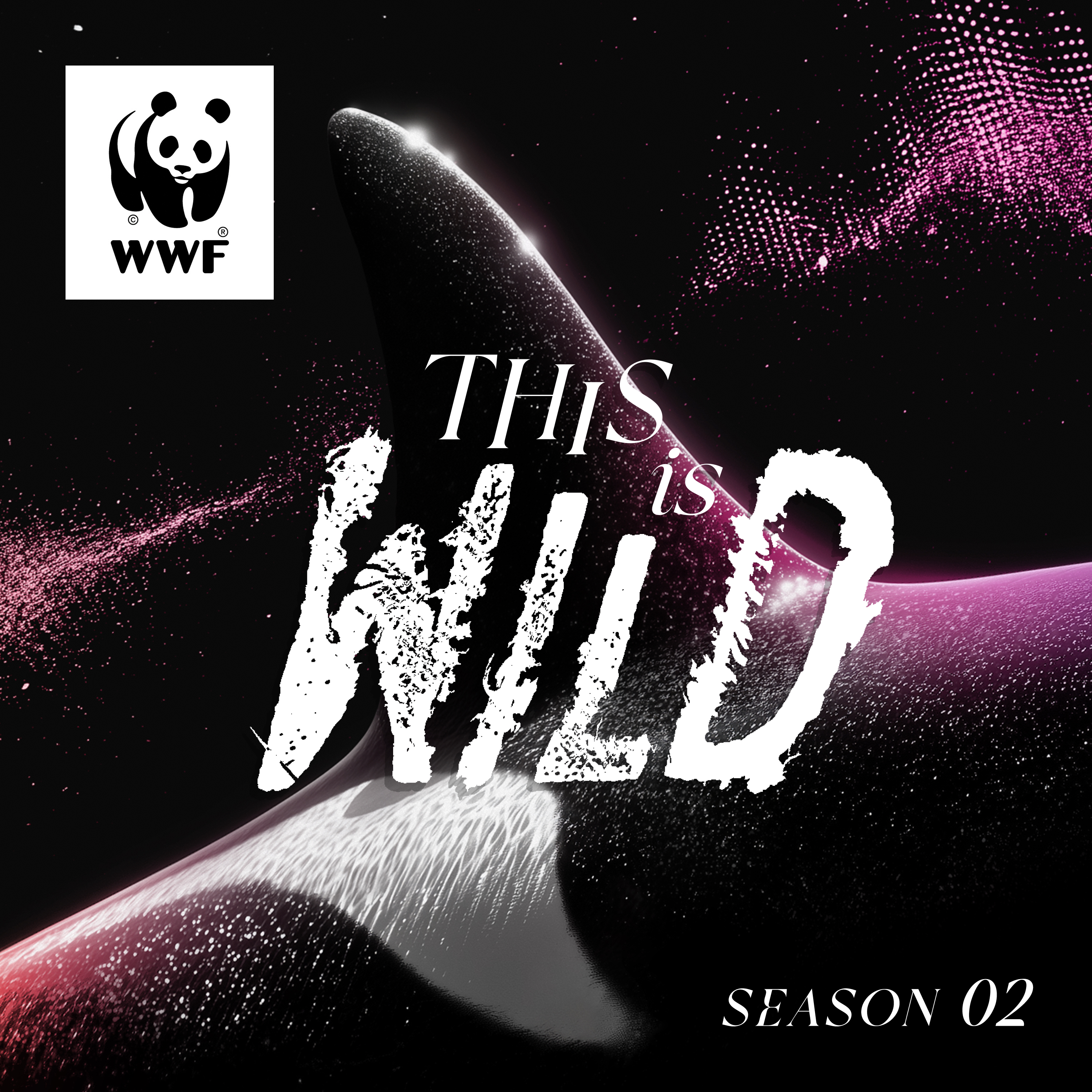 S02 Ep 1 Southern resident killer whales