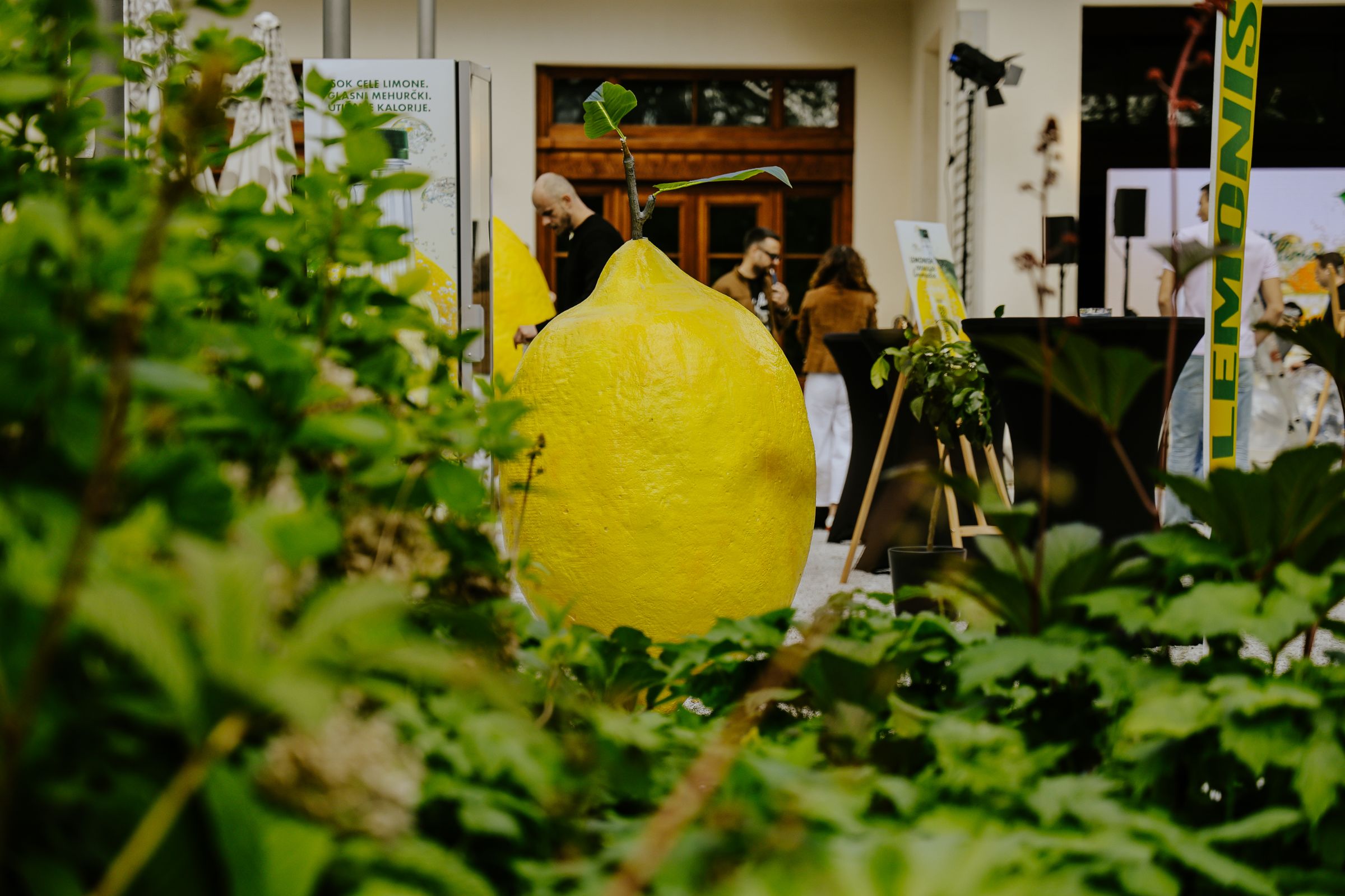 Lemonish lansiranje: divovski limun viri iz bujnog zelenila dok se u pozadini okupljaju gosti