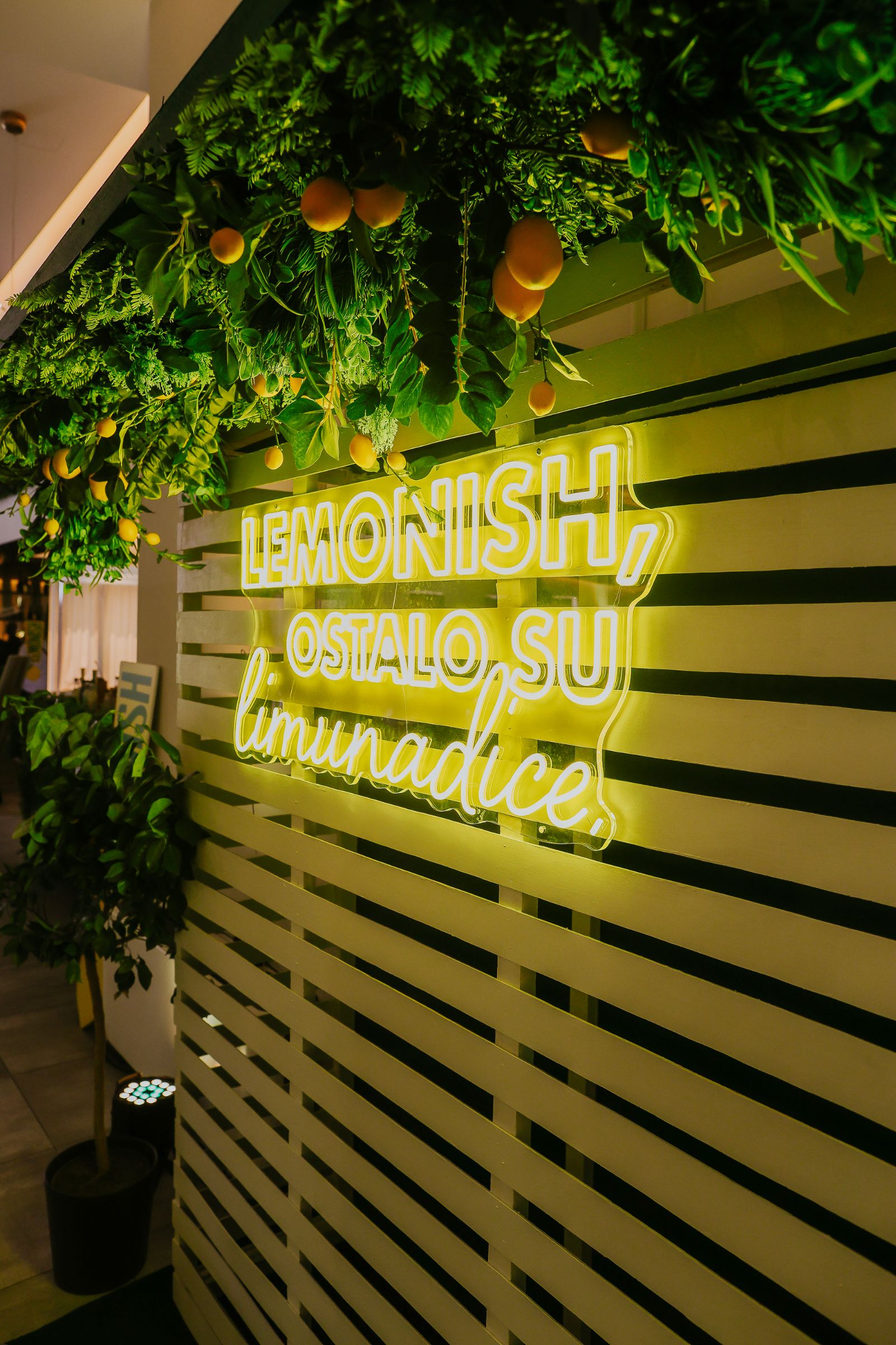 Lemonish lansiranje: žuti neonski natpis Lemonish, ostalo su limunadice na zidu od letvica ispod zelenila i citrusa