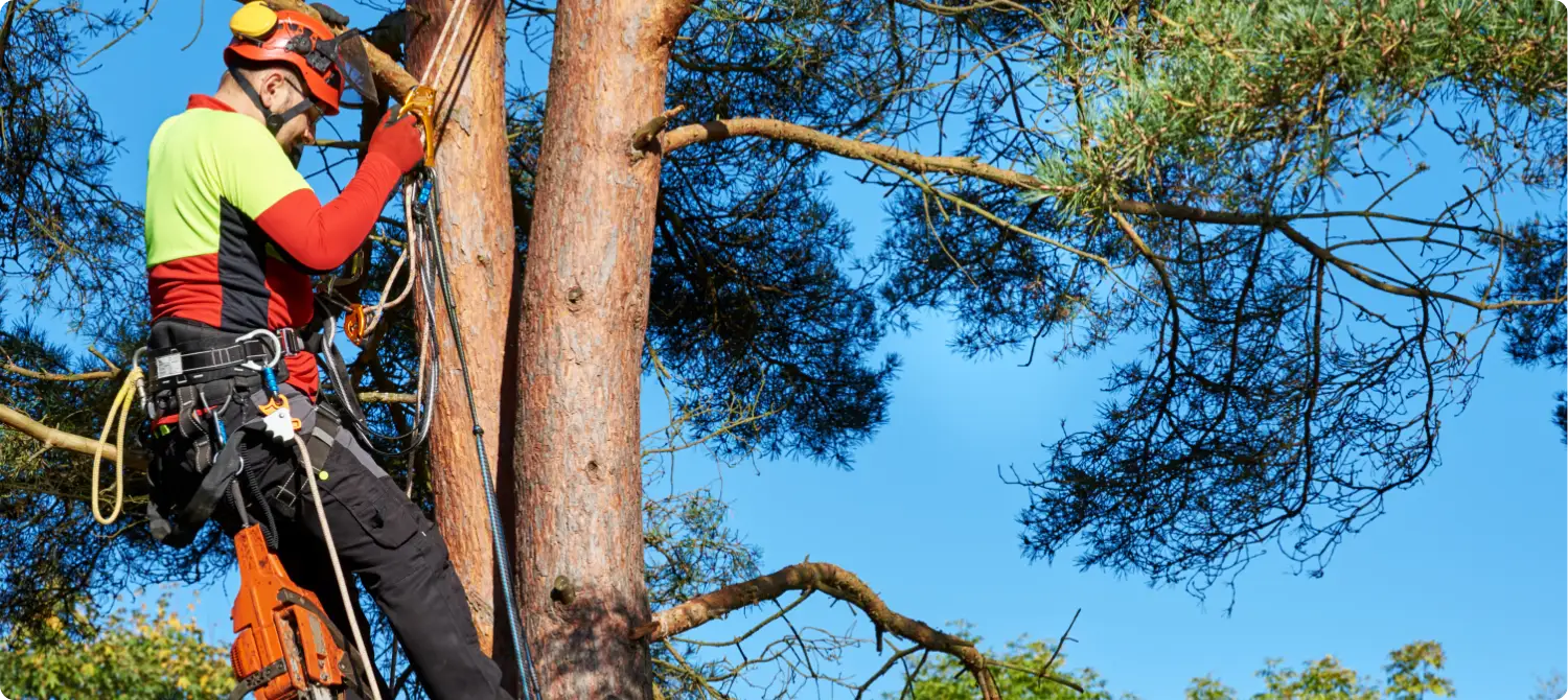 Les missions des CDG