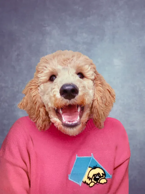 g doogle