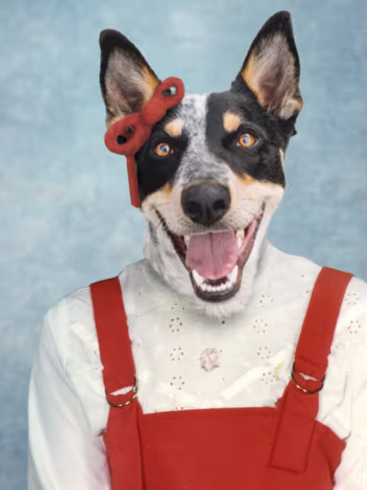 red bow hound