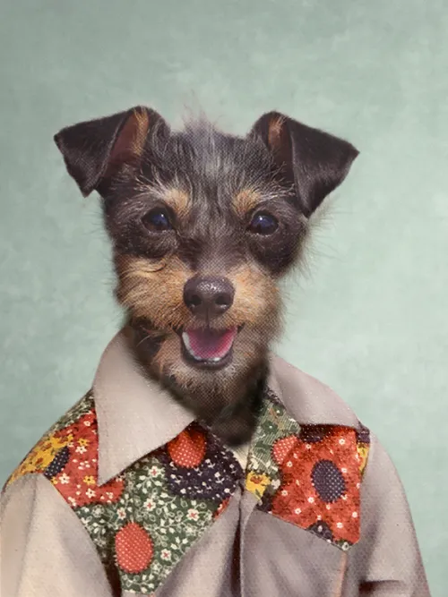 cowboy terrier