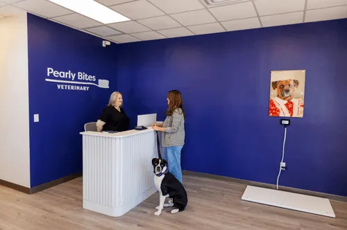 Pearly Bites Veterinary Reception