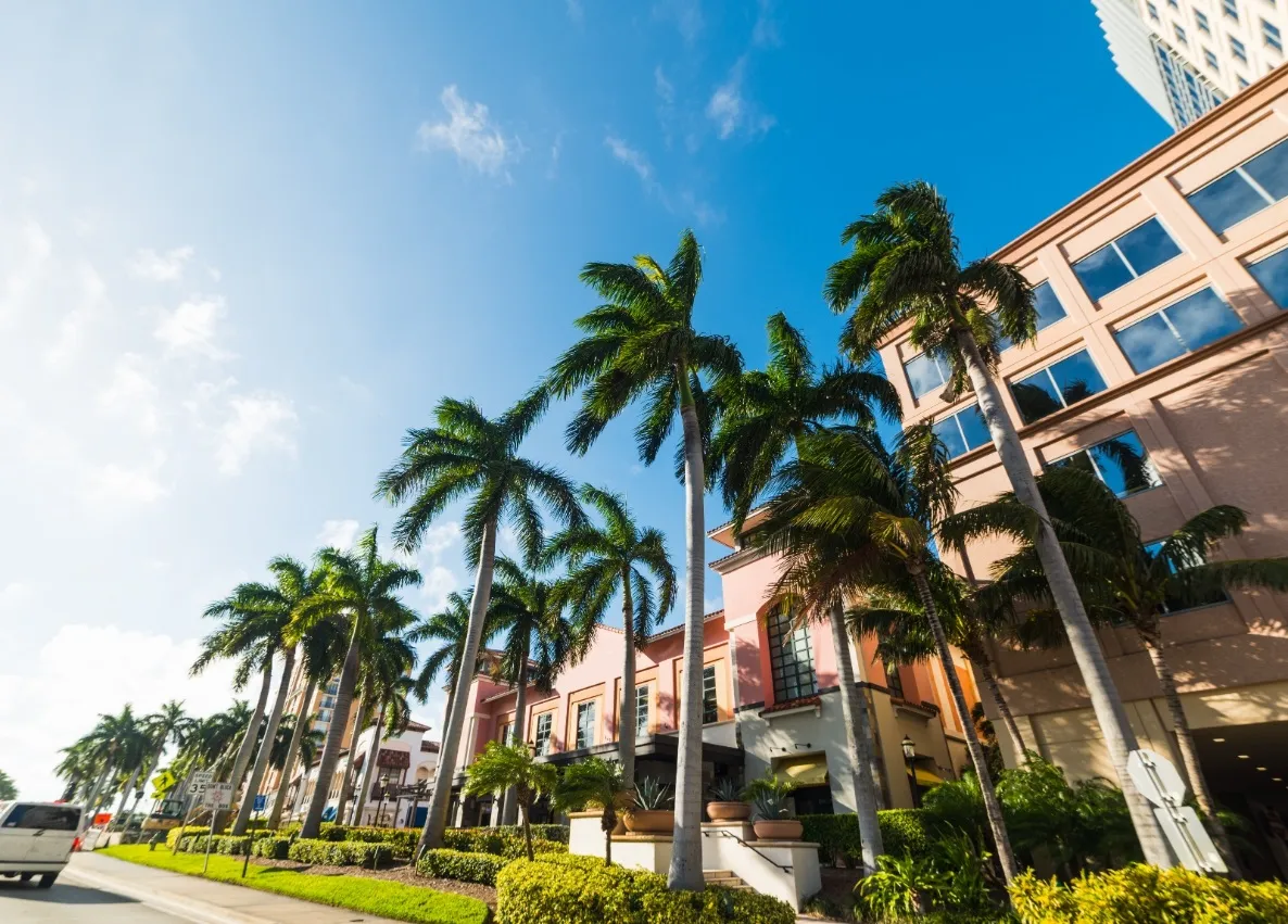 A low-angle view of a sunny street lined with tall royal palm trees and pink-toned Mediterranean-style buildings with large glass windows under a bright blue sky.