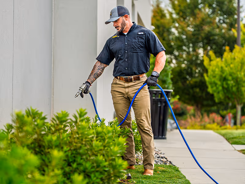 commercial pest treatment