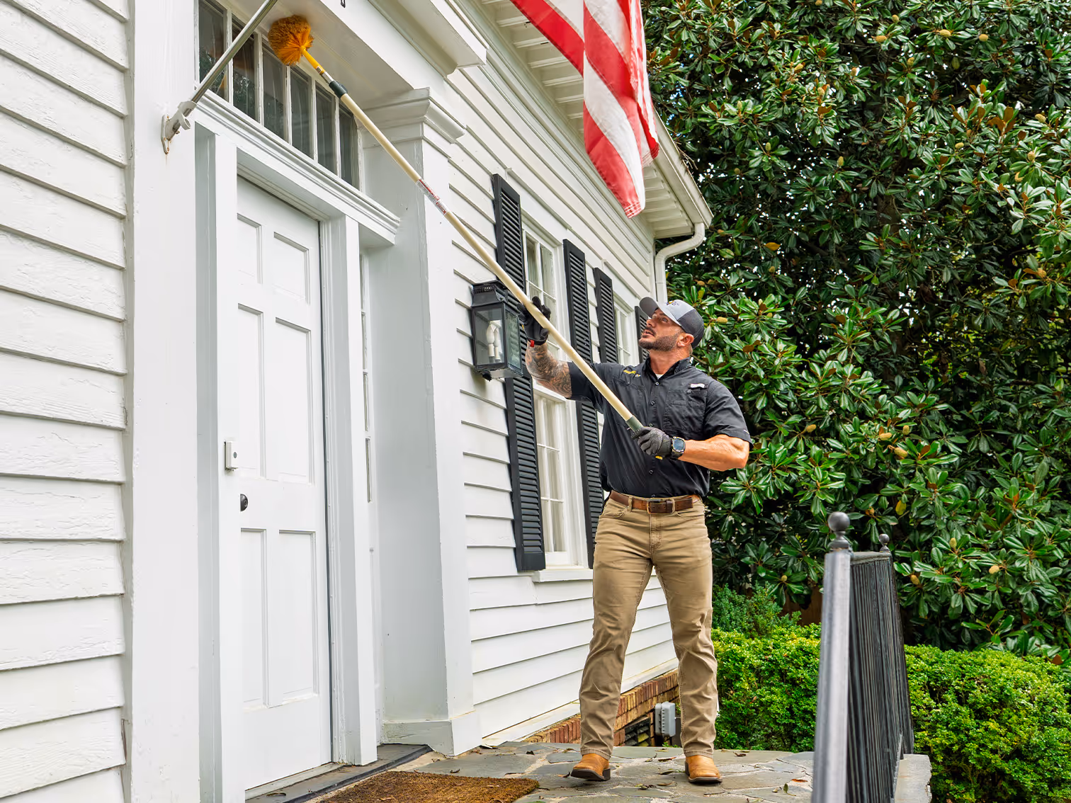 pest control pro removing spider webs