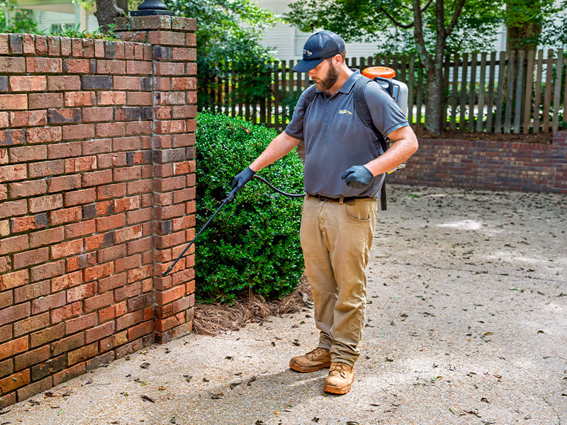 exterior pest treatment