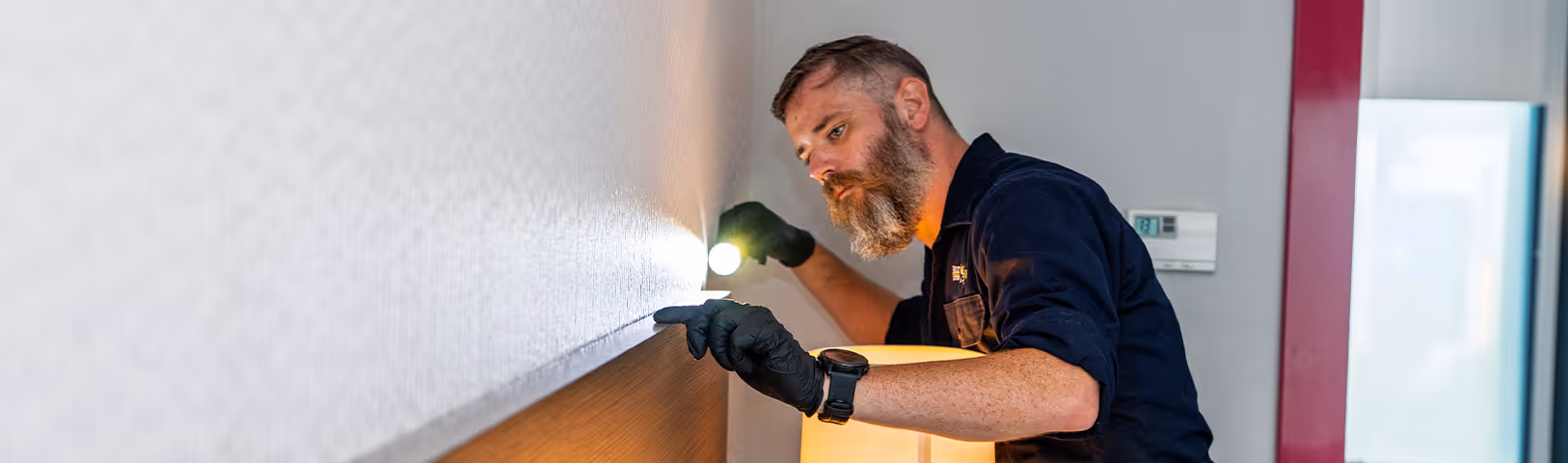 tech inspecting for bed bugs
