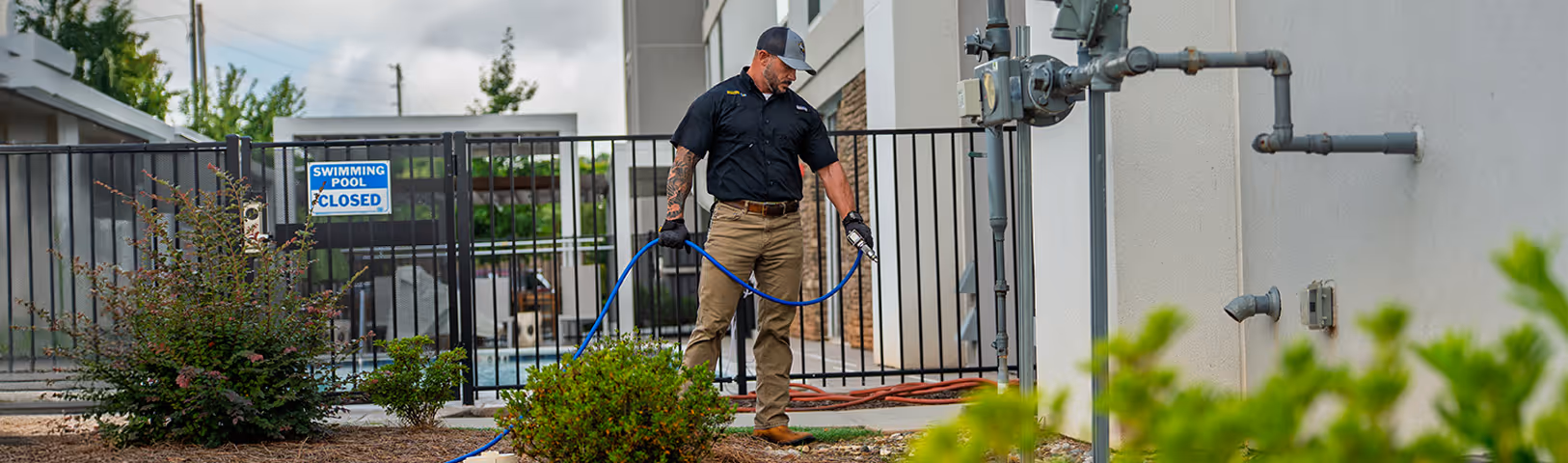 commercial pest treatment