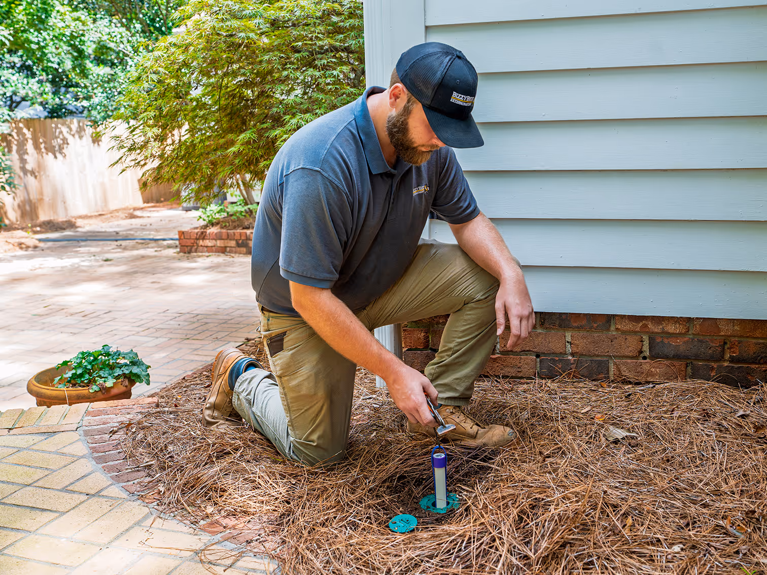 termite baiting installation