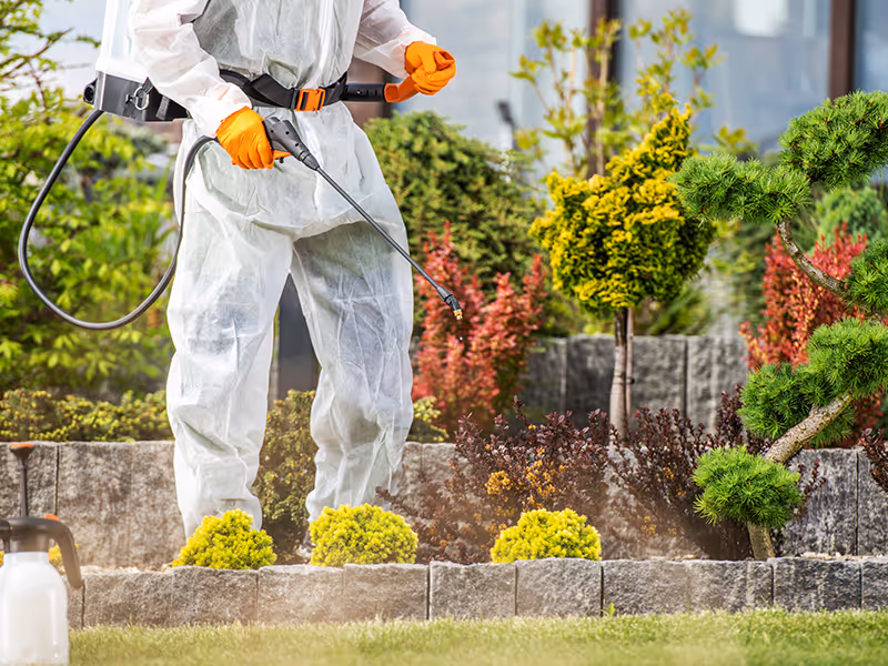 pest control activities around yard