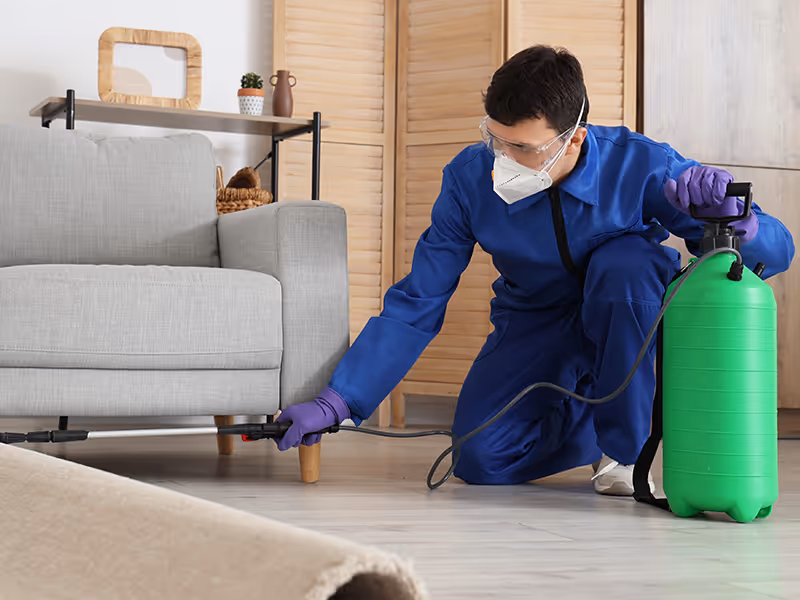 pest control activities around the house