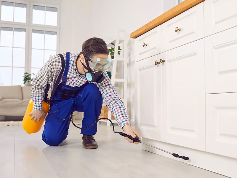 pest control activities around house