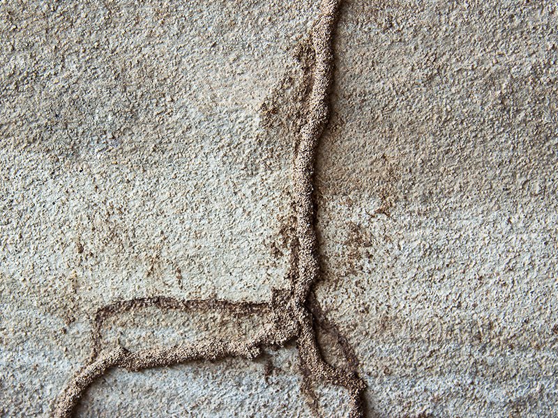 termite mud tubes on the foundation of atlanta home