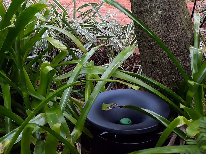 mosquito bait station