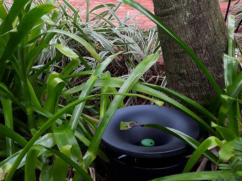 mosquito bait station