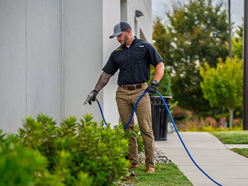 technician spraying bushes