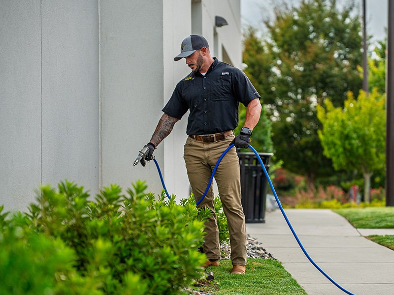 technician spraying bushes
