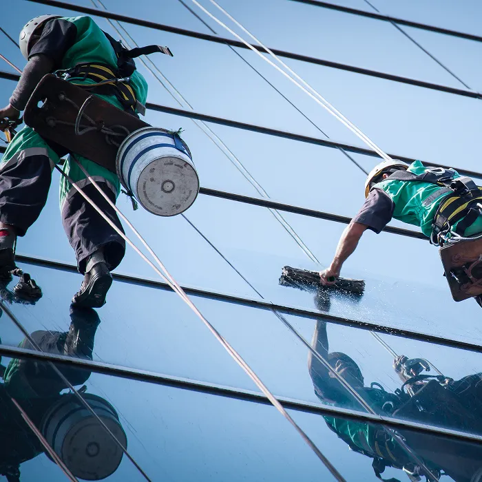 Two workers in safety harnesses cleaning the exterior glass windows of a building using squeegees and ropes.