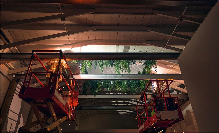 Two workers on red scissor lifts installing hanging green plants on the ceiling of an industrial-style room.