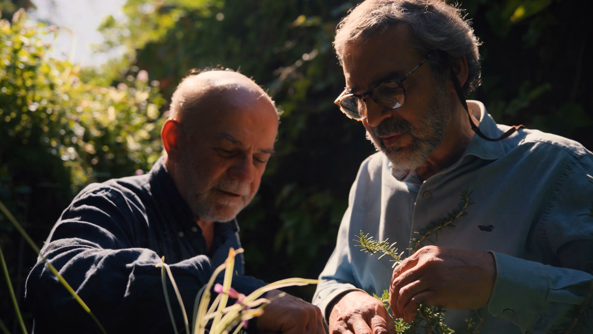 Two inventors featured in the series examining plants in a garden — IVORY portrait series for the EPO