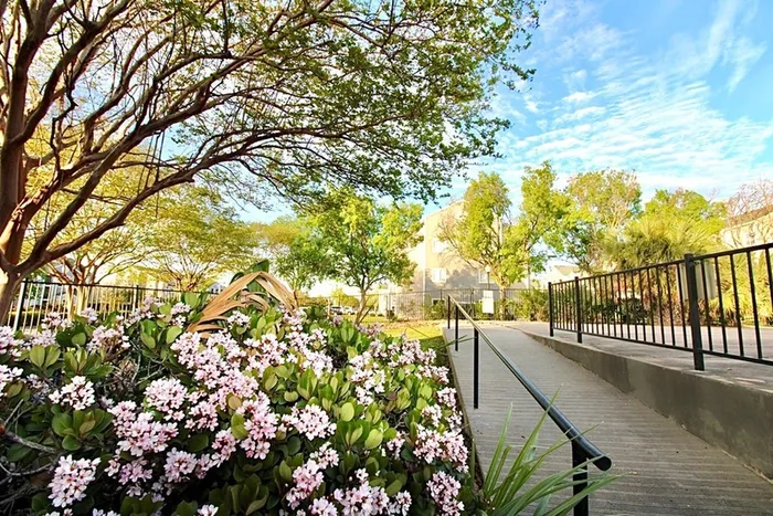 the trails exterior