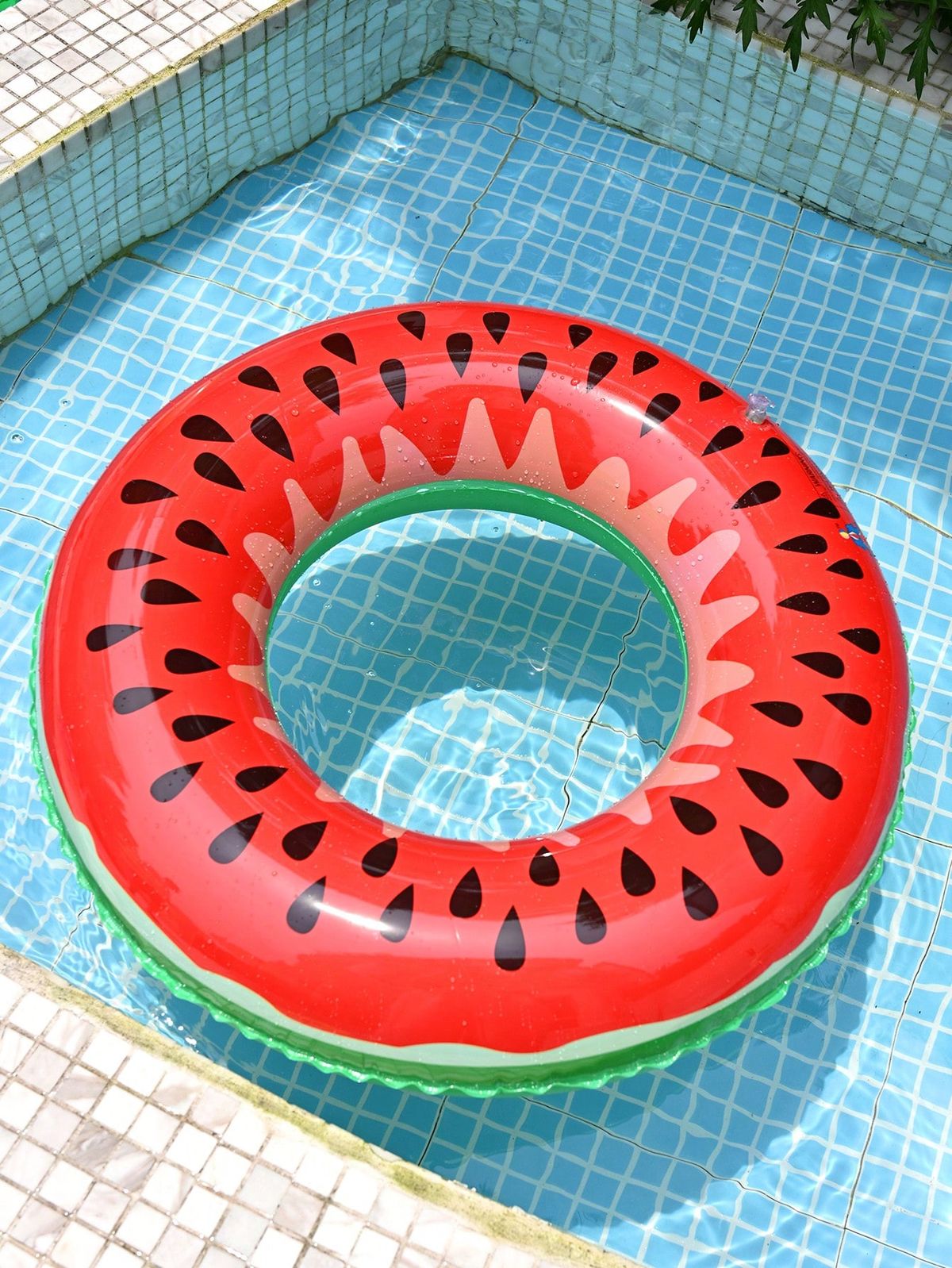 pool img