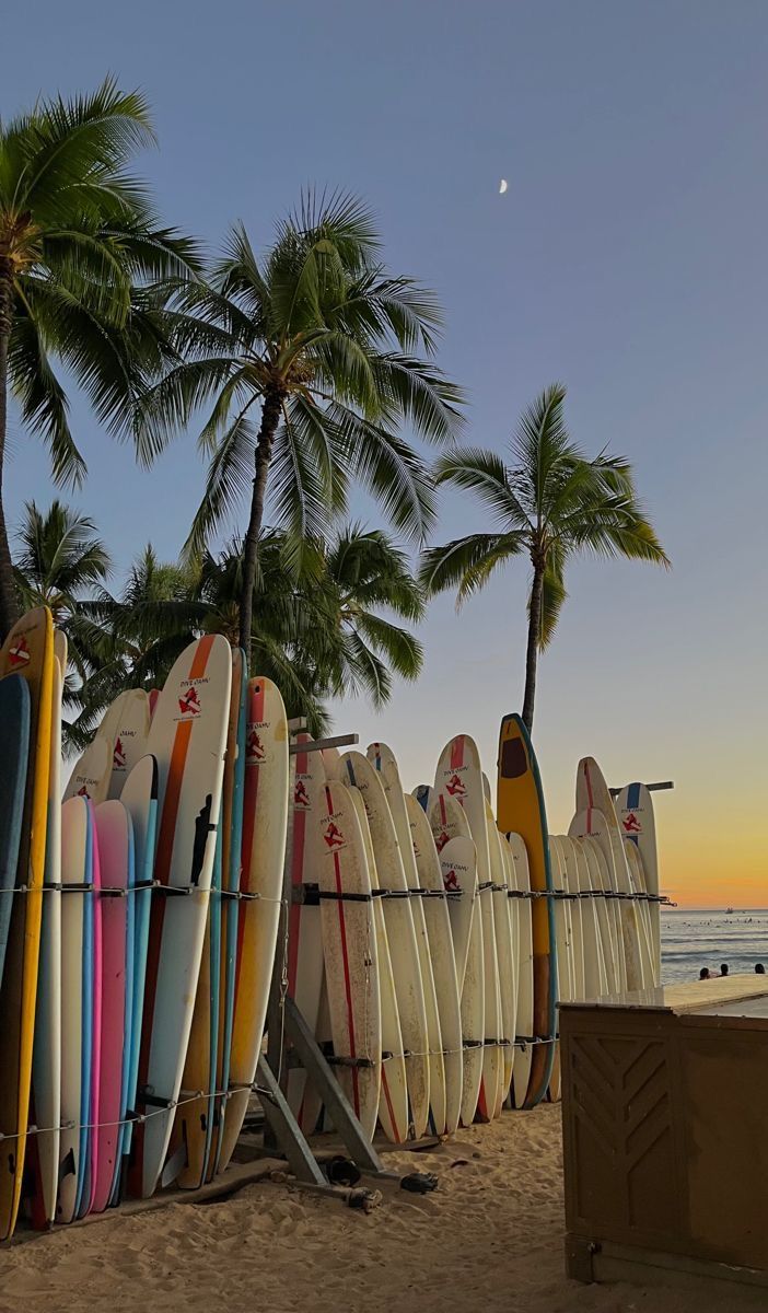 surf img