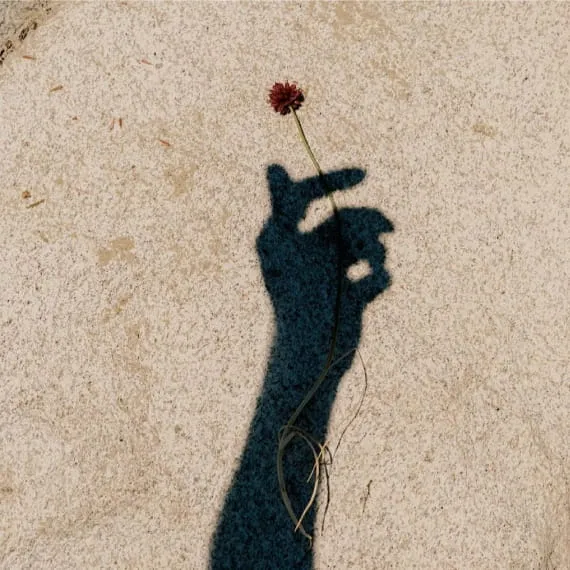 A shadowed hand holds a flower