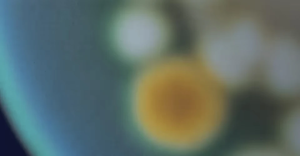 Quiz promo background